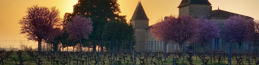 Panorama Château Gourran